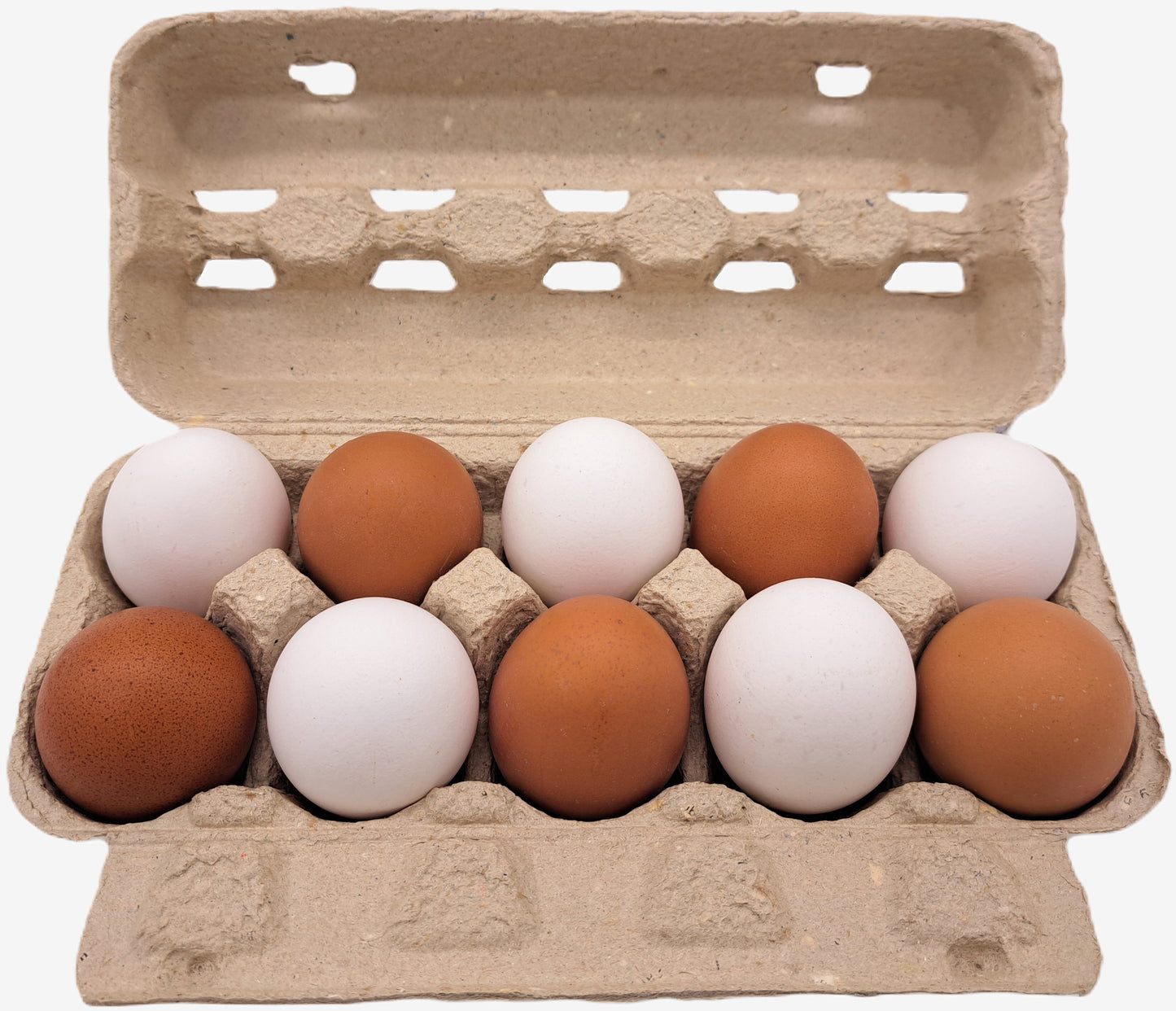 10er VISI10 individuelle Eierschachteln -mit eigenem Aufdruck (optionale Farbe: Grün, Gelb)
