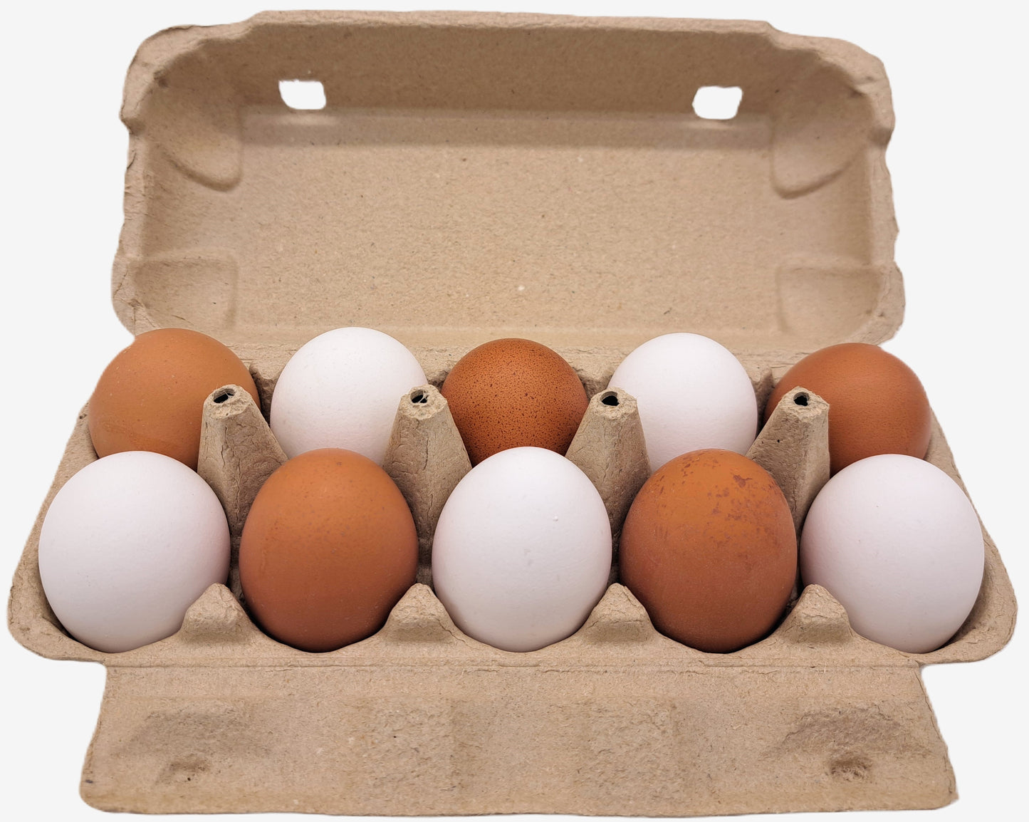 10er VLT10 individuelle Eierschachteln -mit eigenem Aufdruck (optionale Farbe: Grün)