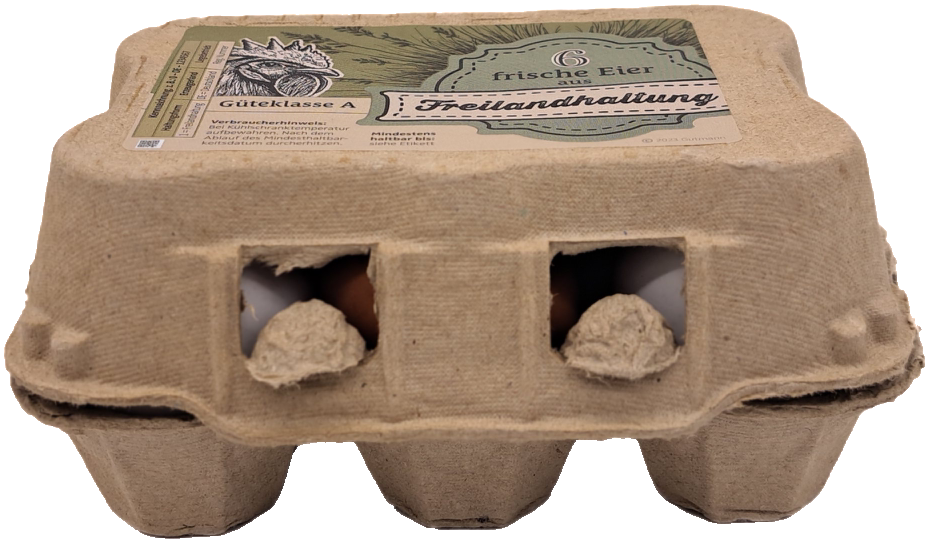 6er TopCom Eierschachtel mit „Freilandhaltung“ Aufdruck Front