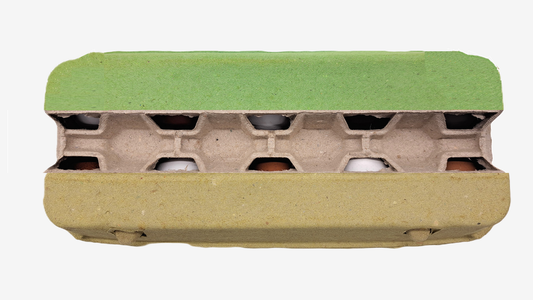 3800 Stück (Palette) × 10er VISI10 Eierschachteln farbig - zur Auswahl: Grün, Gelb