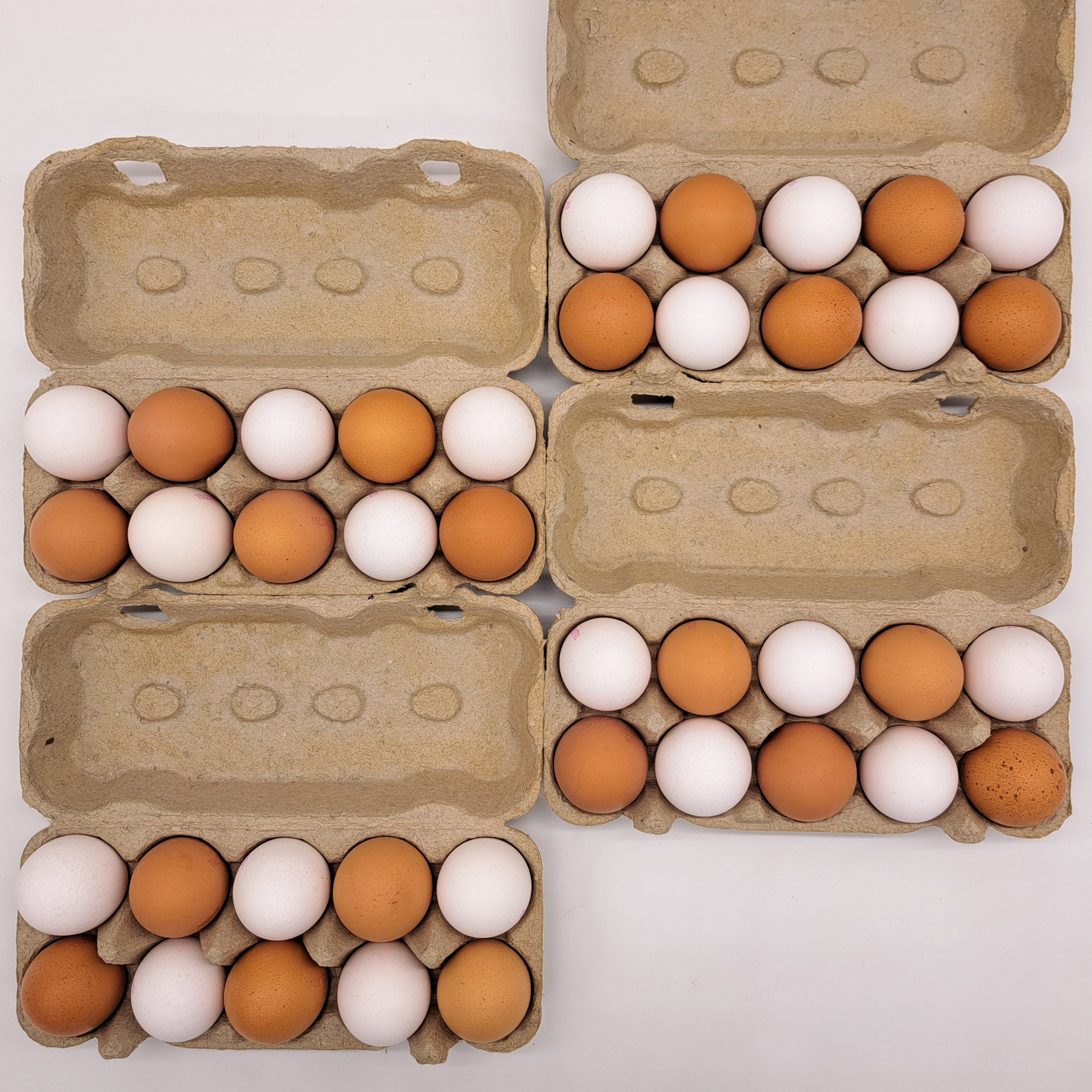 Hier sehen Sie parallele Eierschachtelanordnung von oben