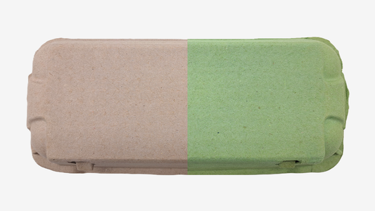 3080 Stück (Palette) × 10er VLT10 Eierschachteln farbig - zur Auswahl: Grün