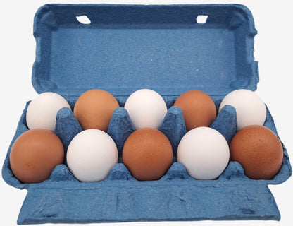 308 Stück × 10er TOP10 Eierschachteln farbig - Blau