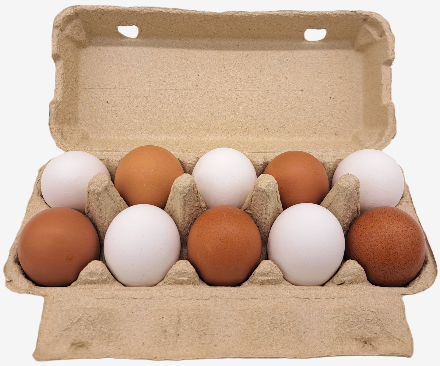 308 Stück × 10er TOP10 Eierschachteln -Neutral ohne Aufdruck im Paketdeal