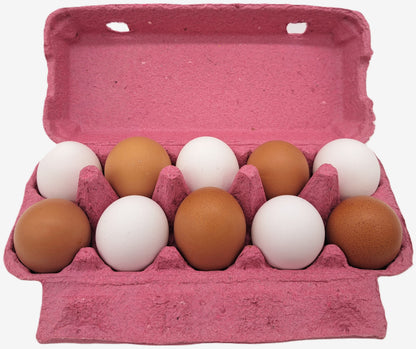 308 Stück × 10er TOP10 Eierschachteln farbig - Pink