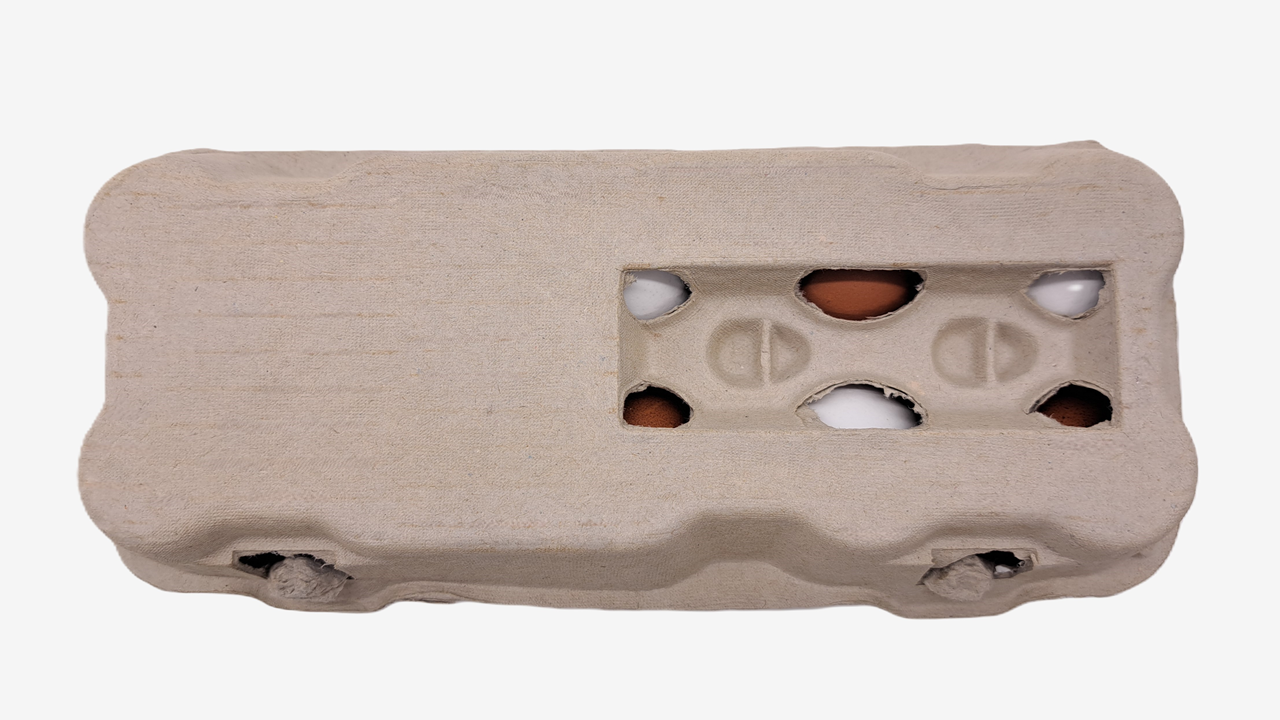 510 Stück × 10er TopView Eierschachteln -Neutral mit Sichtfenster im Paketdeal