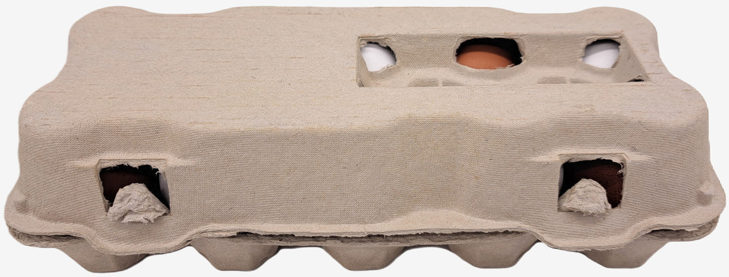 510 Stück × 10er TopView Eierschachteln -Neutral mit Sichtfenster im Paketdeal