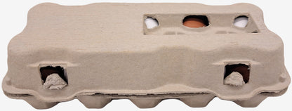 510 Stück × 10er TopView Eierschachteln -Neutral mit Sichtfenster im Paketdeal
