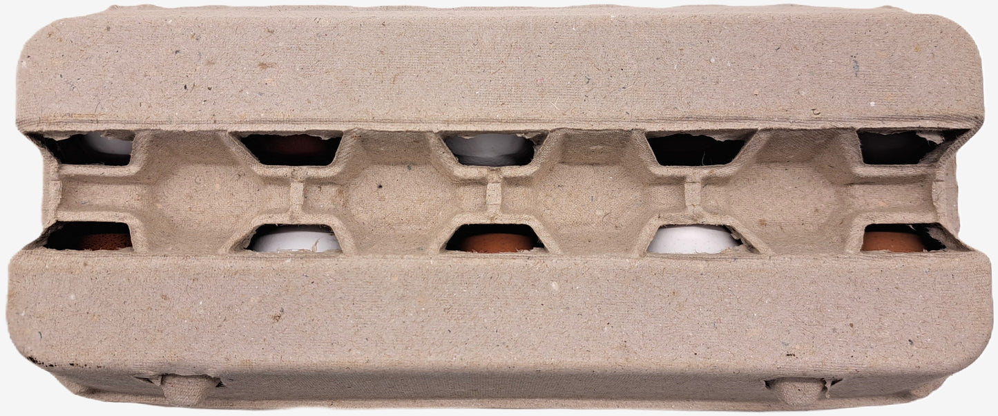 380 Stück × 10er VISI10 Eierschachteln -Neutral ohne Aufdruck im Paketdeal